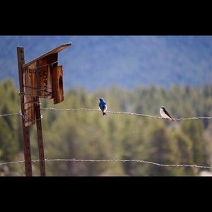 Meet your Posher, Mary beth